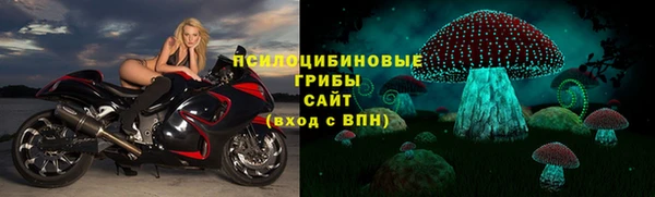 стафф Алзамай
