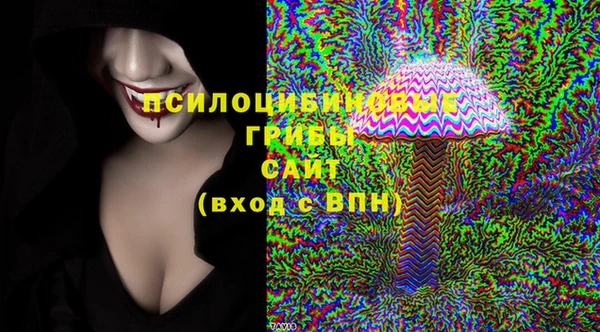 стафф Алексин