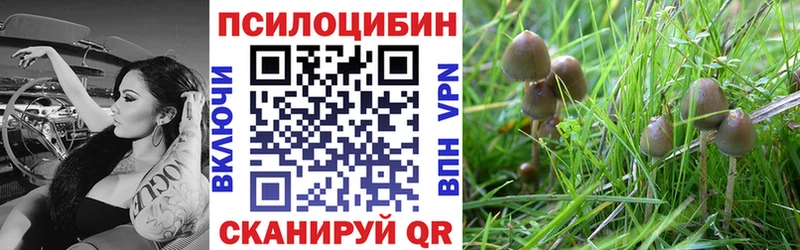 Псилоцибиновые грибы мухоморы гидра зеркало Майкоп